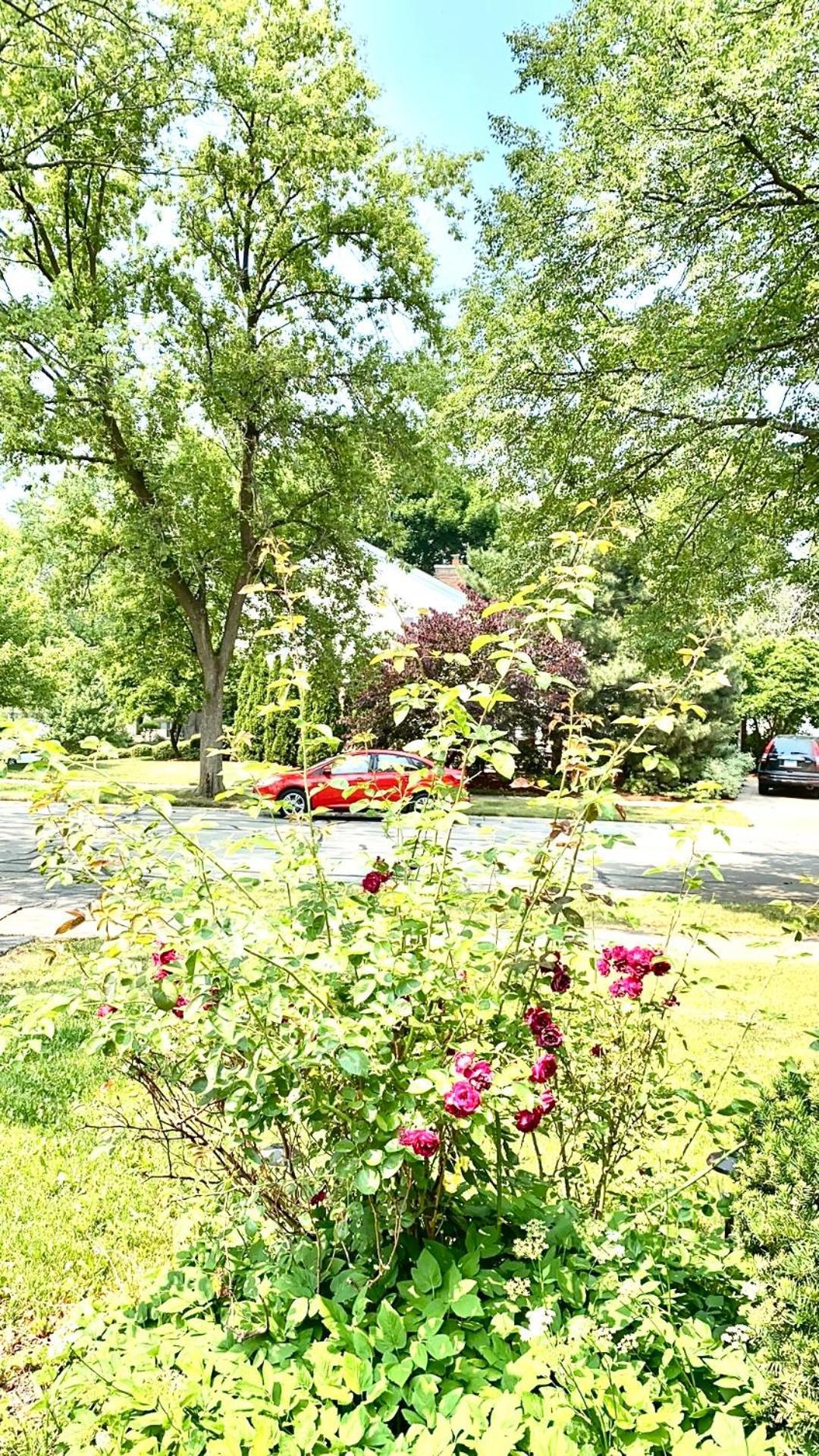 B3 A Private Room In Naperville Downtown With Desk And Wi-Fi Near Everything Dış mekan fotoğraf