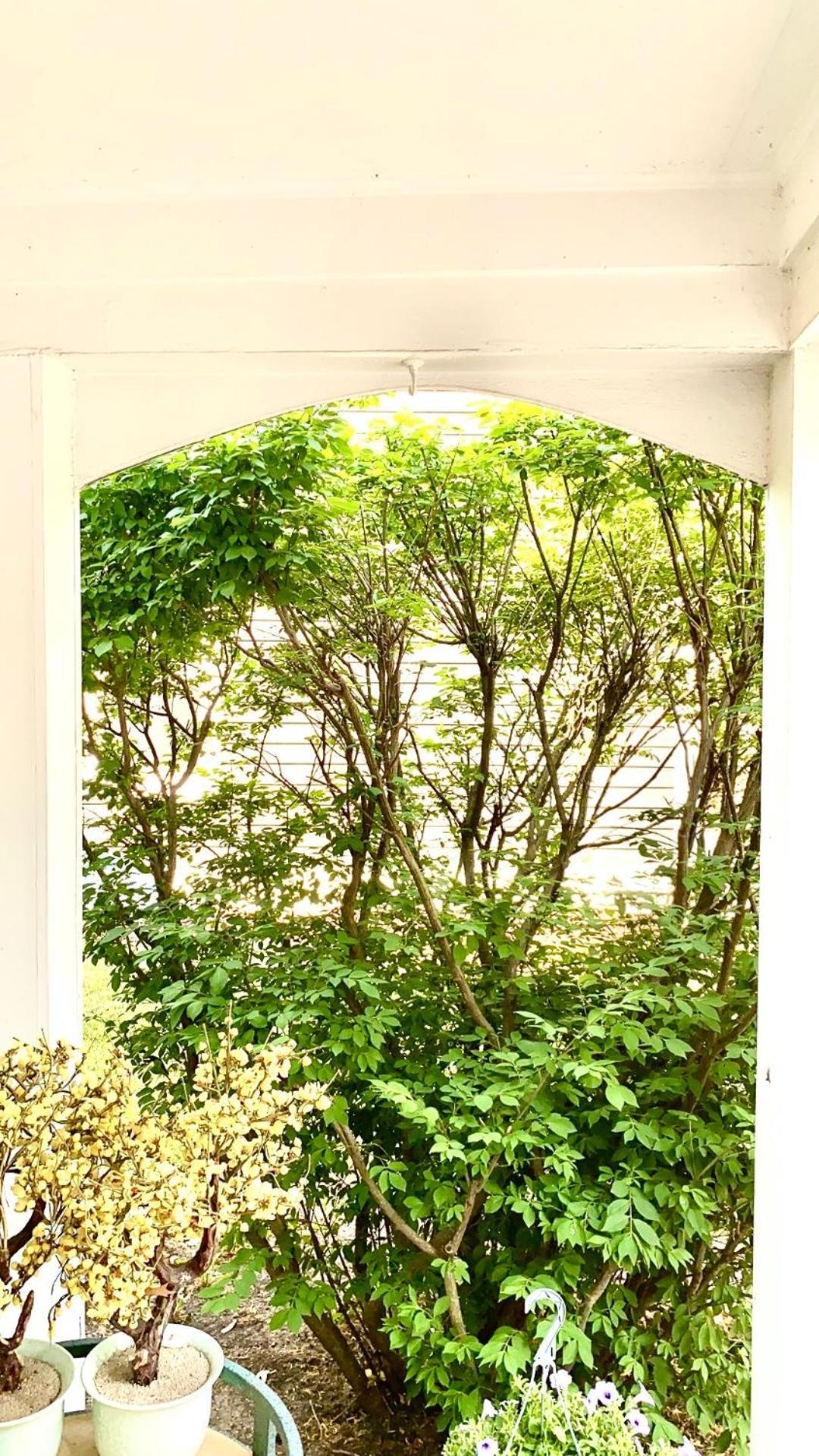 B3 A Private Room In Naperville Downtown With Desk And Wi-Fi Near Everything Dış mekan fotoğraf
